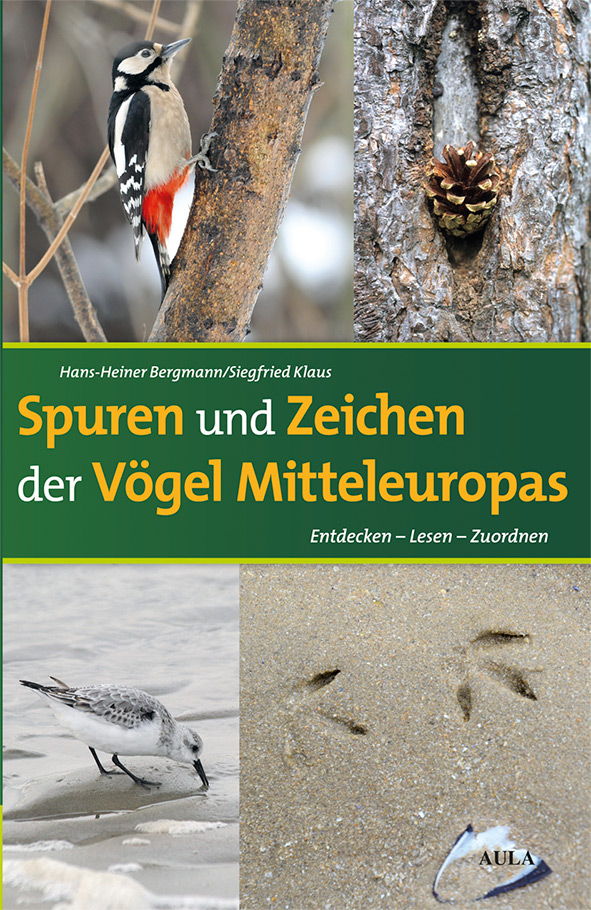 Bergmann-Klaus_Spuren-und-Zeichen-Voehel-ME_5x7-1.jpg