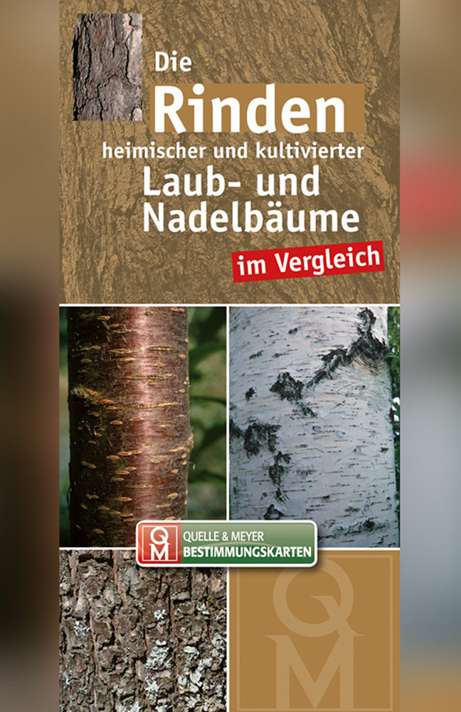 rinden-648x1000.jpg