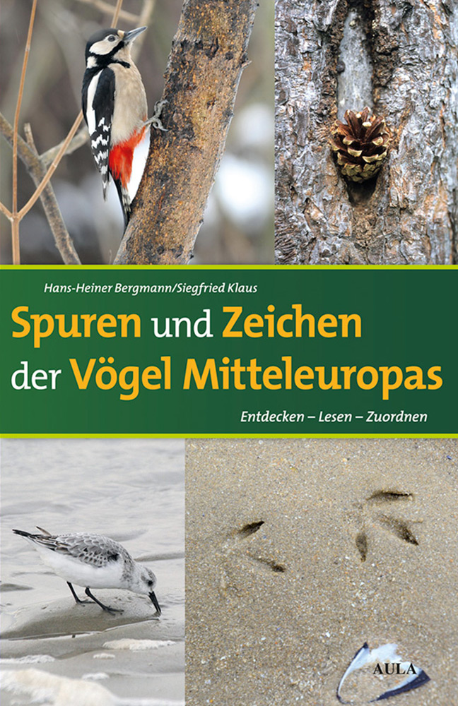 spuren-648x1000.jpg