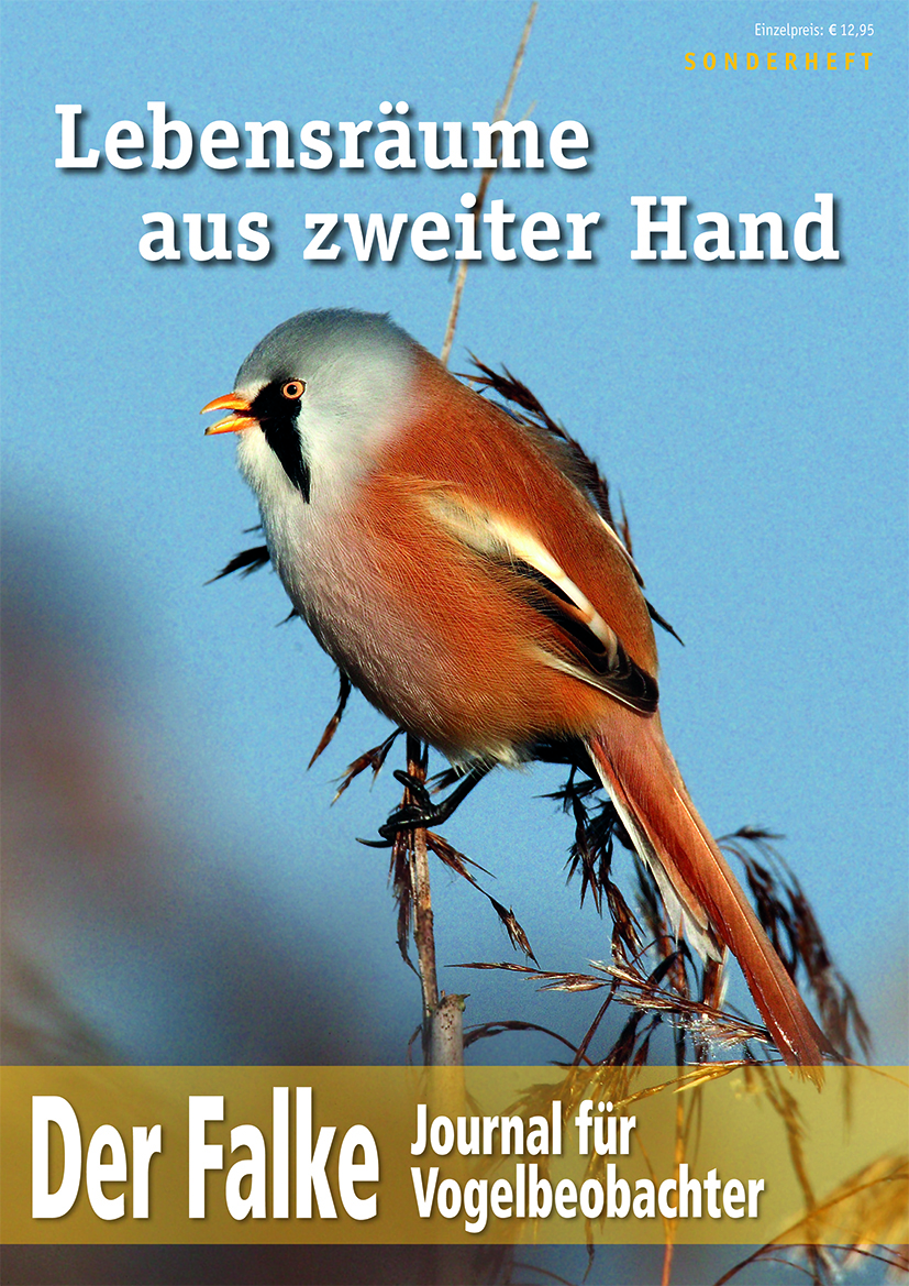 Cover_Sonderheft-Lebensräume.jpg