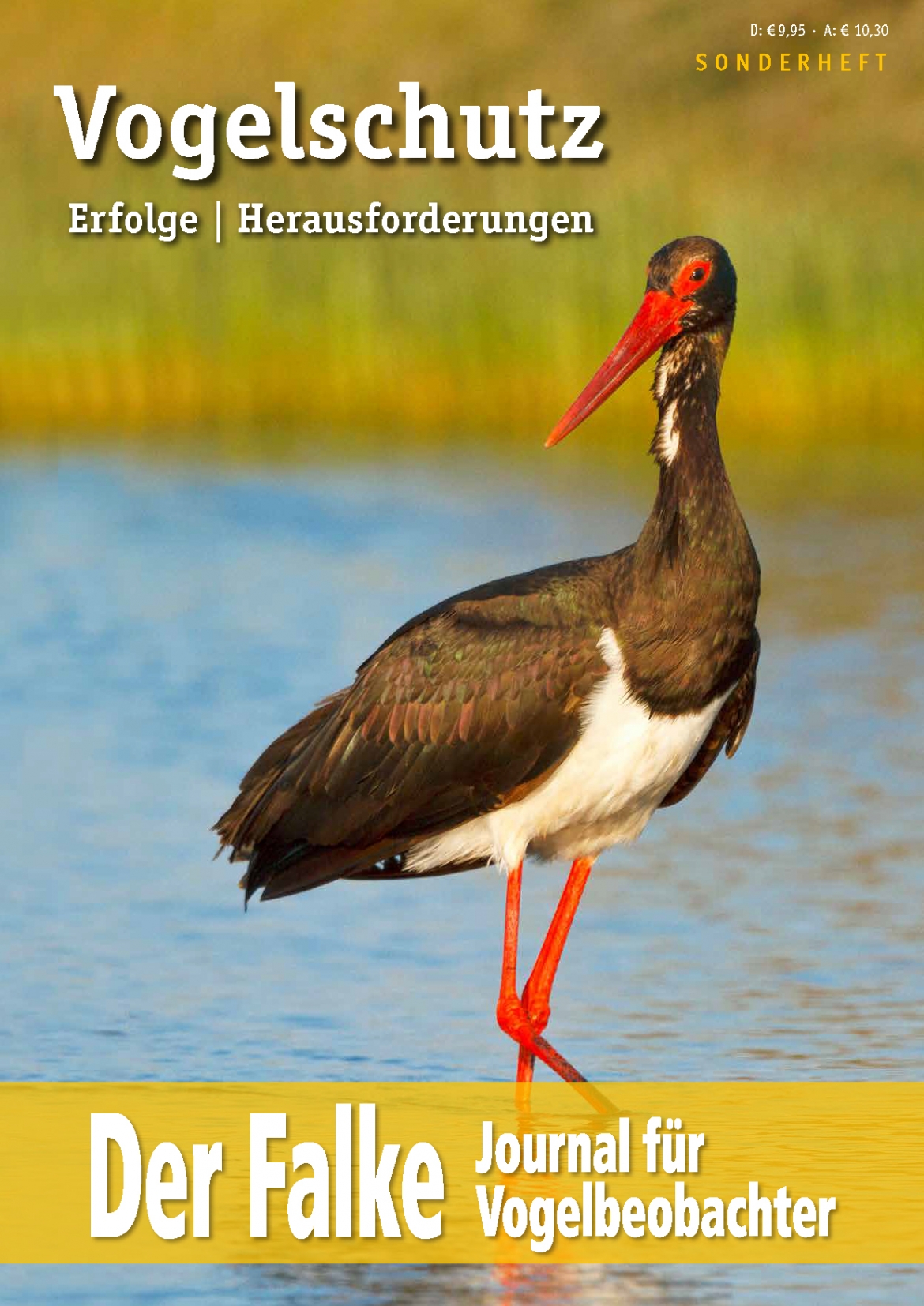 Cover-Sonderheft-Falke-2017-Vogelschutz.jpg
