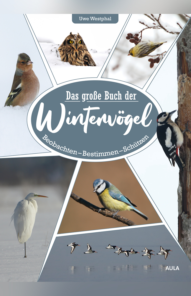 Westphal-Wintervögel.jpg